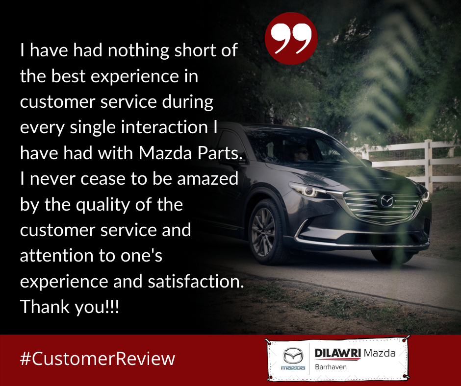 customer review 2