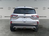 2020 Ford Escape SEL image 4