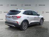2020 Ford Escape SEL image 5