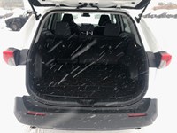 2023 Toyota RAV4 LE AWD