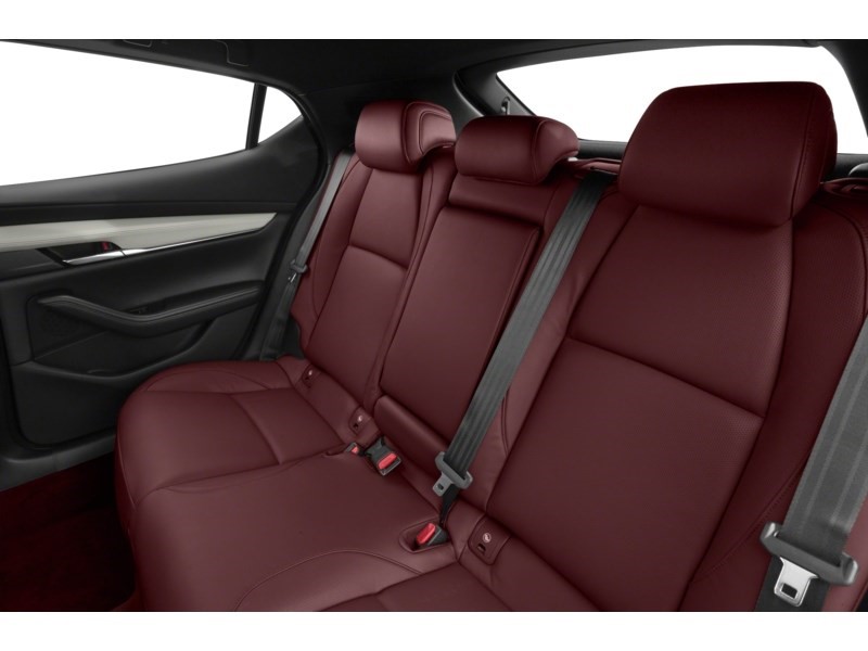 2021  Mazda3 100th Anniversary Edition (A6) Interior Shot 5