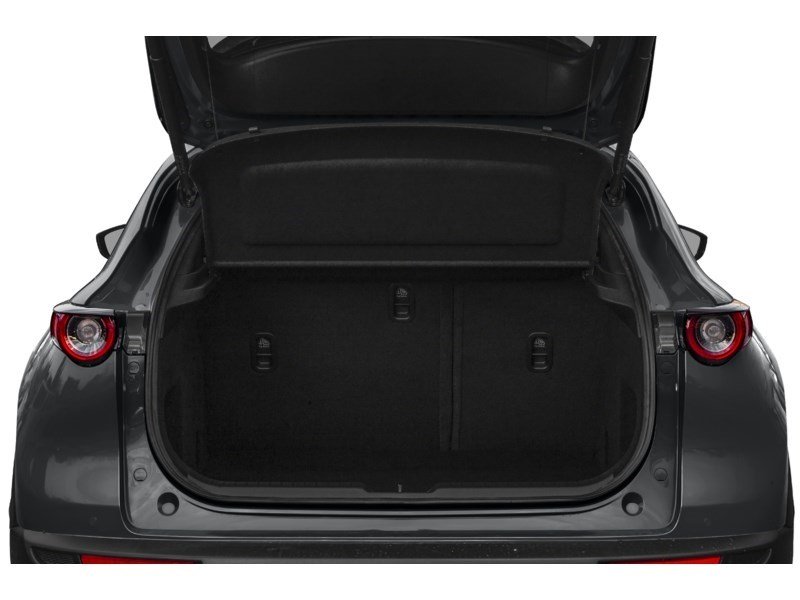 2021 Mazda CX-30 GX Exterior Shot 4