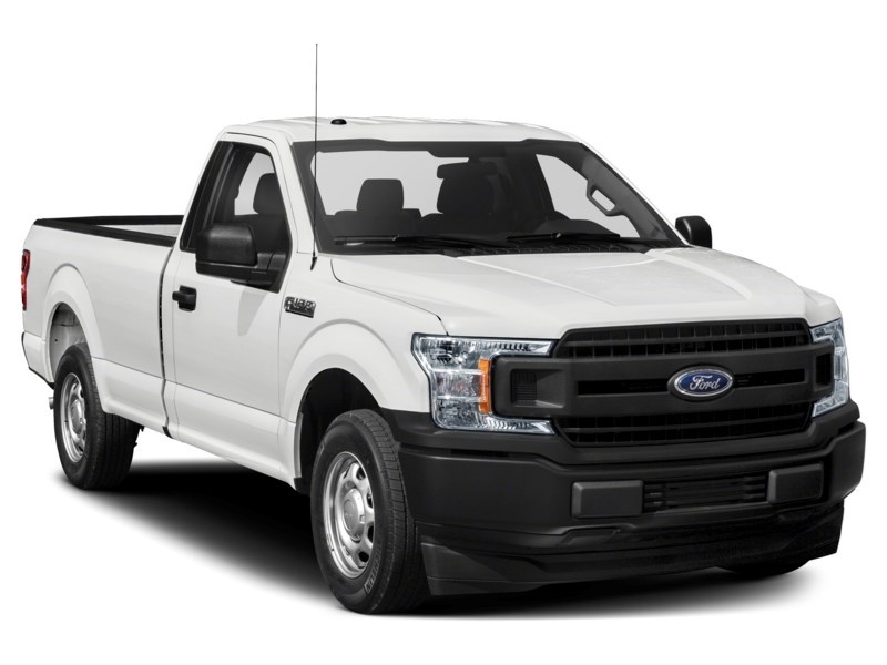 2020 Ford F-150 XL 2WD Reg Cab 6.5' Box Exterior Shot 8