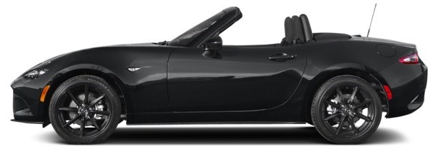 Jet Black Mica [Black]