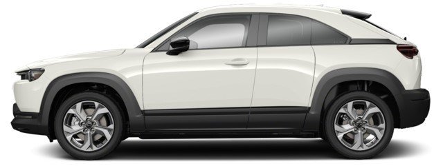Arctic White [White]