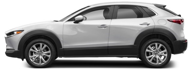 Ceramic Metallic [Silver]