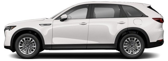Arctic White [White]