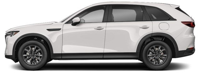 Arctic White [White]