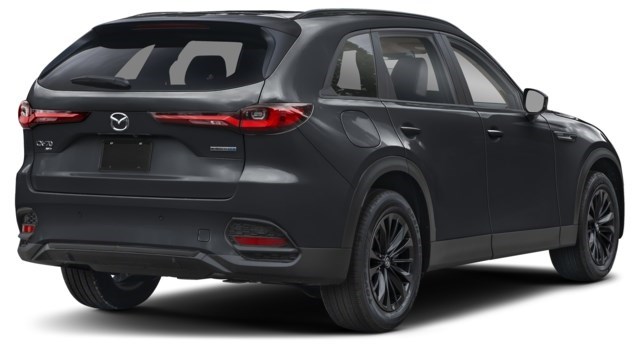 Jet Black Mica [Black]