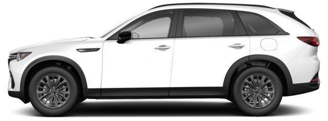 Jet Black Mica [Black]