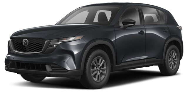 Jet Black Mica [Black]